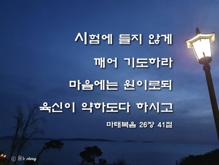  시험에 들지 않게 깨어 기도하라 ｜마태복음 26장 41절