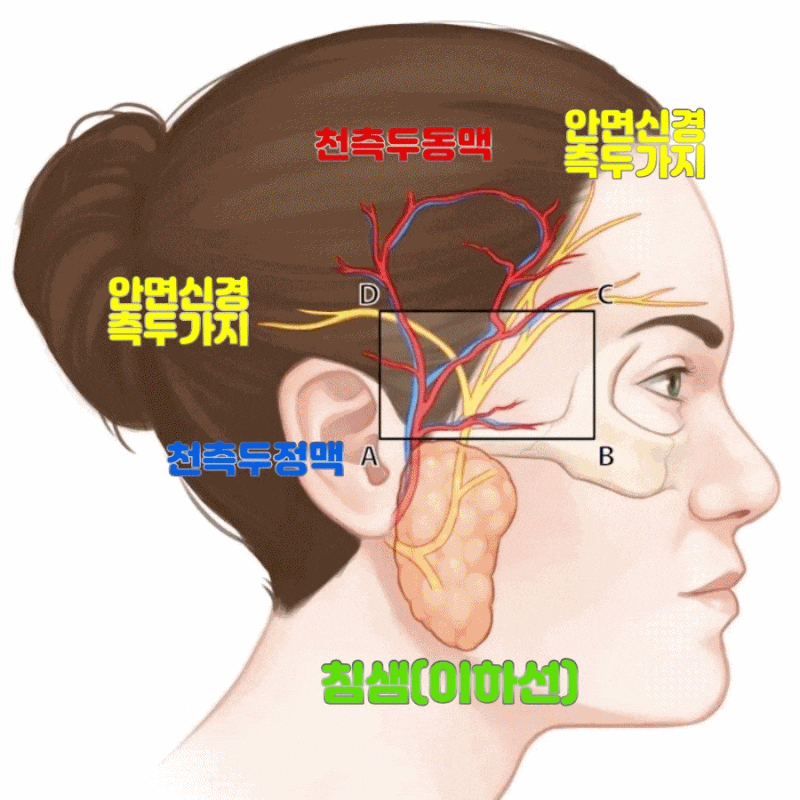 관자놀이 두통의 원인 5