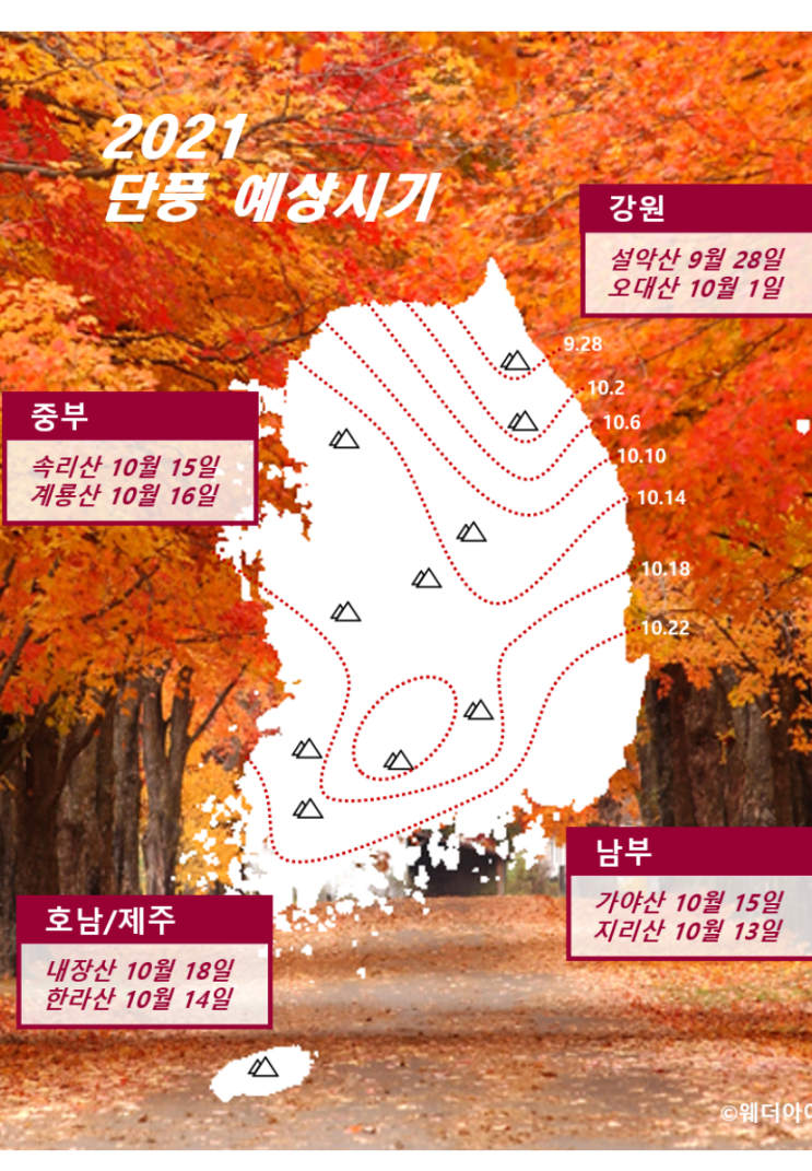  2021년 제주도 단풍시기 & 단풍명소 [제주한달살기숙소 씨사이드 이든추천]