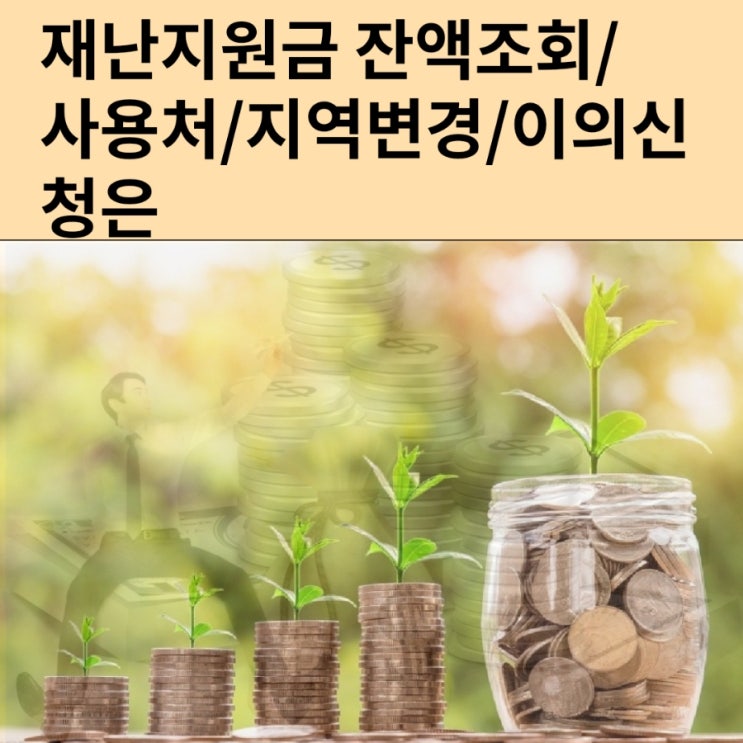 재난지원금 잔액조회/사용지역변경/사용처/이의신청