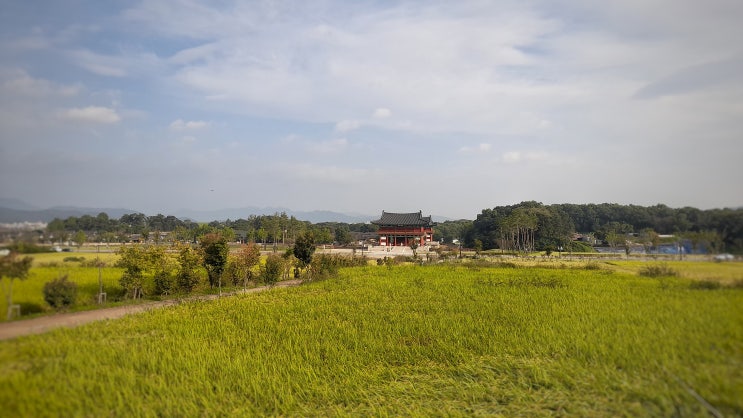  경주 가을에 걷기 좋은 남산 둘레길, 남산 가는 길