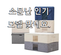 입소문탄 한샘수납박스 제품목록 누구나 좋아할 것 같아요.