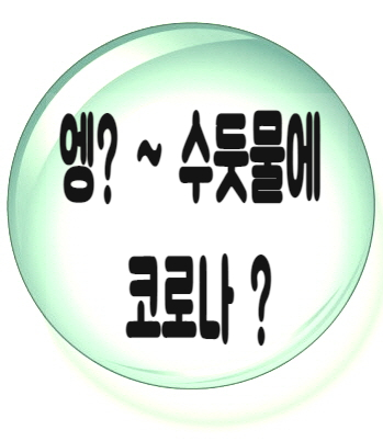우리집 수돗물에 코로나 바이러스가 검출 된다면? 우리집 수돗물에 코로나 바이러스가 검출 된다면?