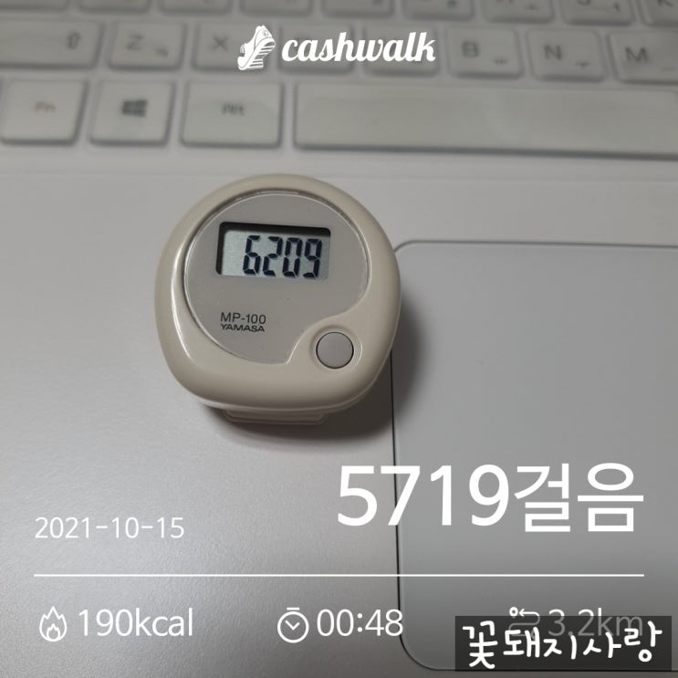  D+67 삼겹살에서 목살로