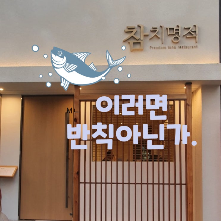  참치명적 이 정도는 되야 참치