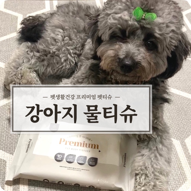  펫생활건강 강아지 물티슈 산책 후 1장이면 관리 끝