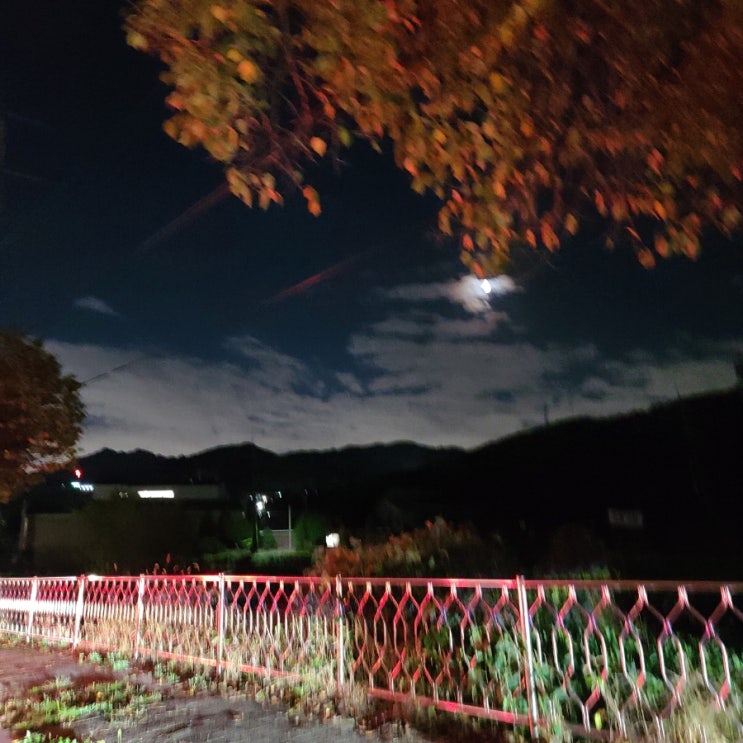  [감사일기] 20211014