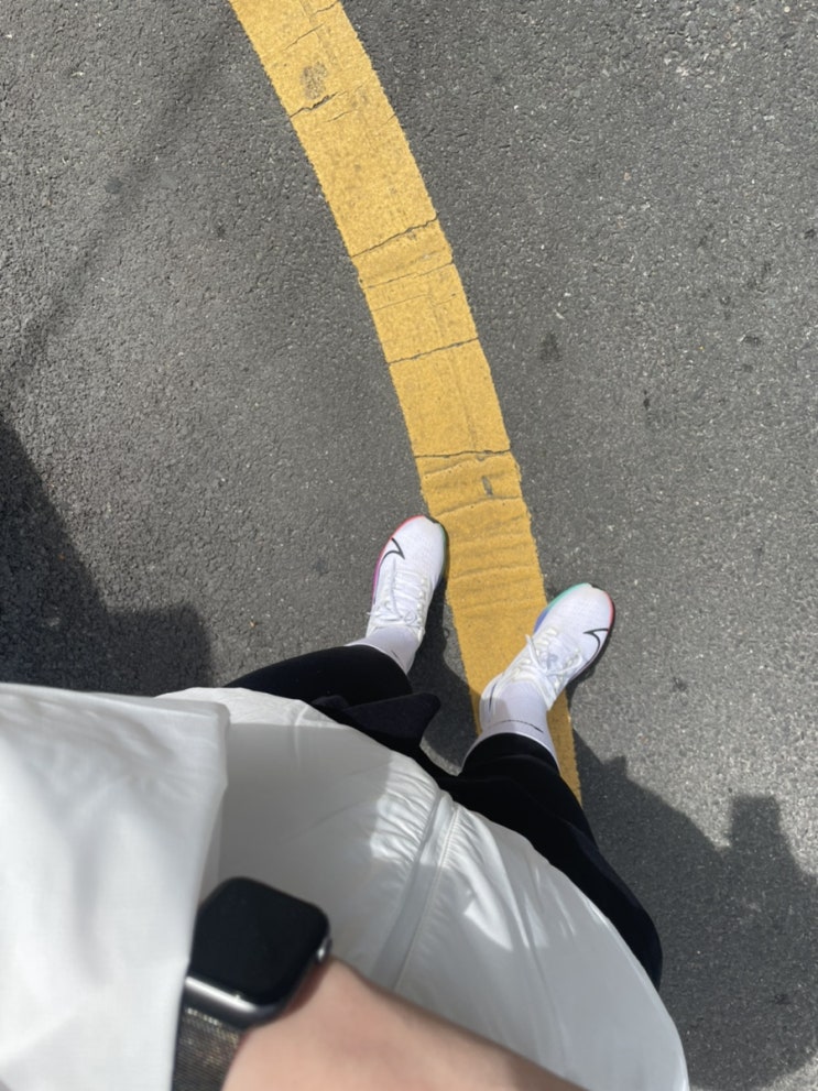  동네 산책 갔다온 날 ️(with 동물친구들)