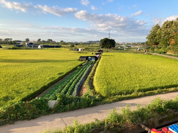  서울에서 떠나는 시골길 산책기 1