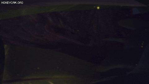 리프트 브레이커 리뷰 - 메카슈트 + 공룡 전략게임 = 와! 갓겜 (THE RIFTBREAKER 스팀 게임) 리프트 브레이커 리뷰 - 메카슈트 + 공룡 전략게임 = 와! 갓겜 (THE RIFTBREAKER 스팀 게임)