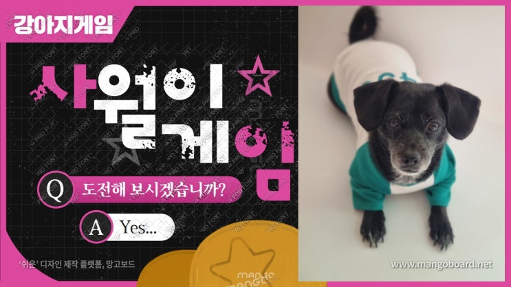 강아지옷. 오징어게임 강아지옷 456 티셔츠는 강아지 핵인싸템!! 내돈내산후기 강아지옷. 오징어게임 강아지옷 456 티셔츠는 강아지 핵인싸템!! 내돈내산후기