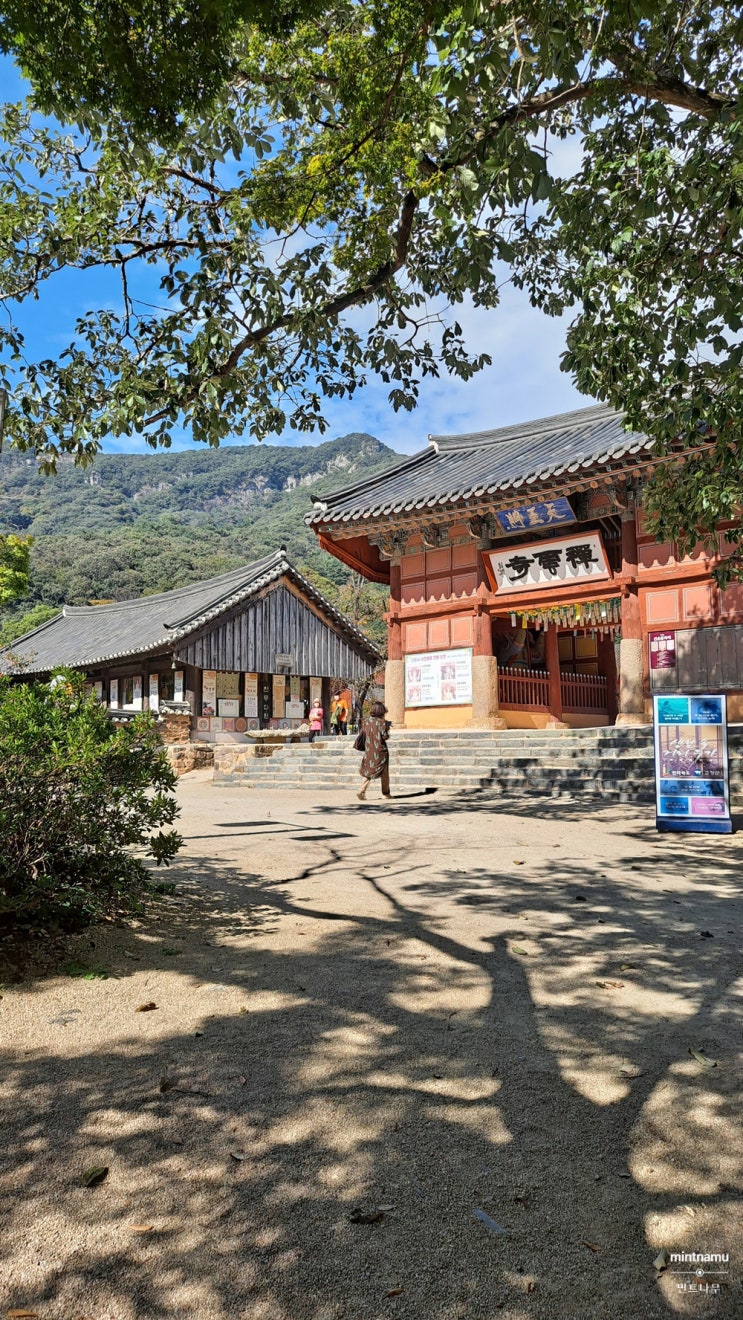 선운사, 선운산도립공원 좋은 기운 얻고 가기