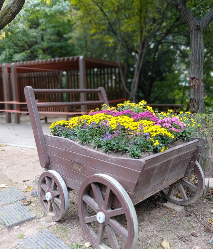 남산 야외식물원 힐링 산책코스 데이트장소 가을 도심 산책코스 남산 야외식물원 힐링 산책코스 데이트장소 가을 도심 산책코스
