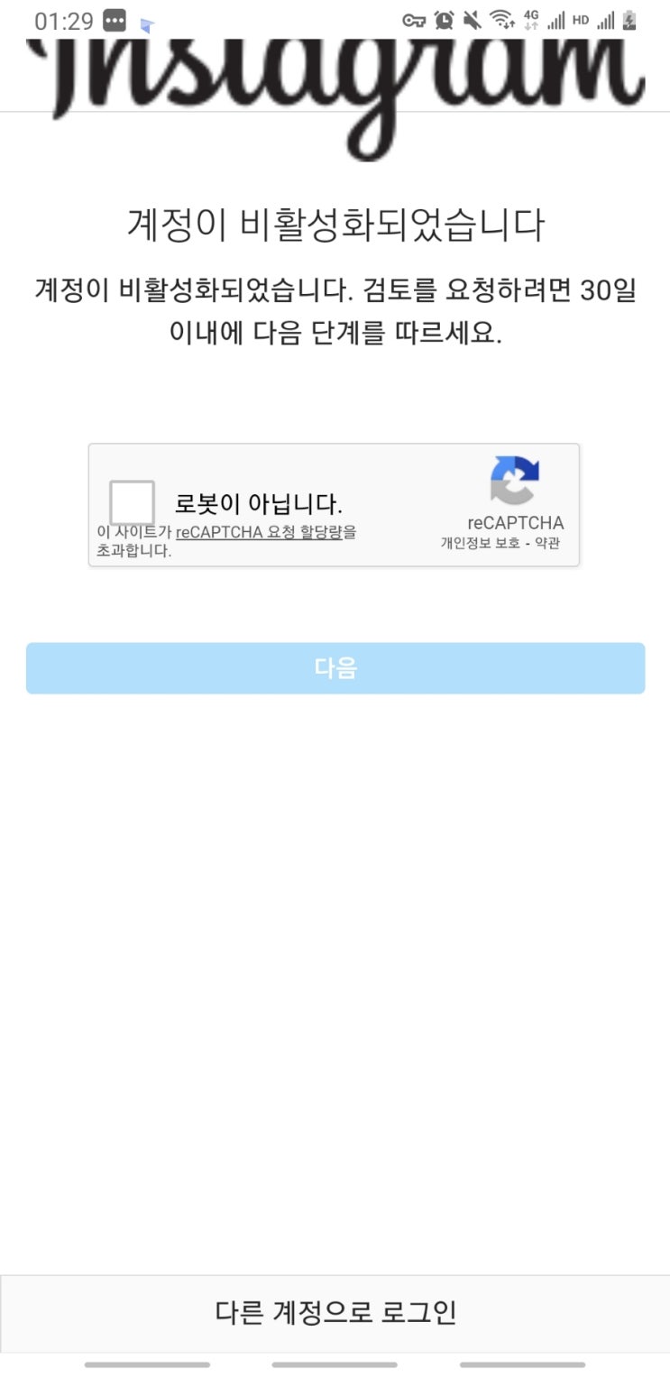  인스타 그램 이상