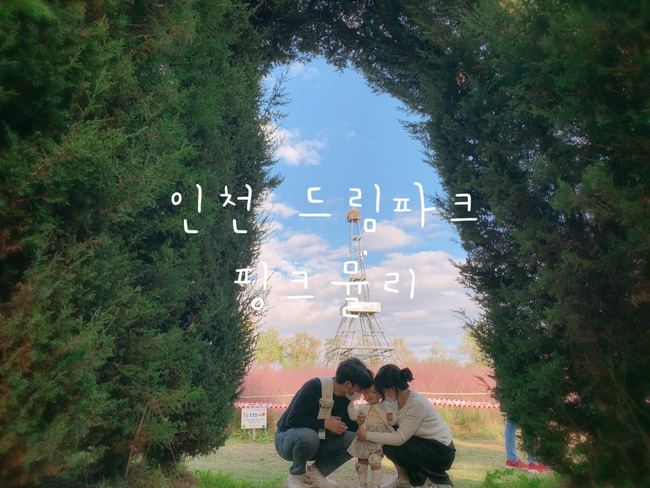  14개월 아기랑 가볼만한 곳 | 인천 드림파크 야생화단지 핑크뮬리