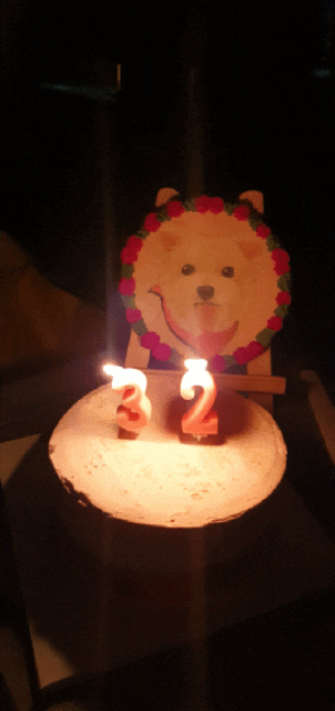  인천 부평 주문 제작 케이크 고망고