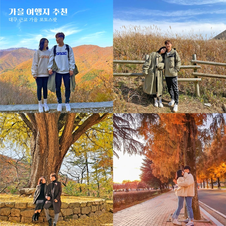  대구 근교 여행: 가을 10-11월 추천 포토존
