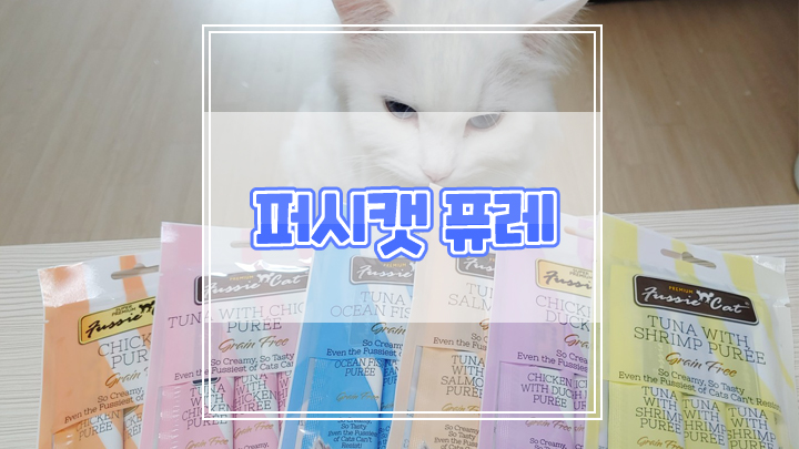  퍼시캣퓨레로 까다로운 고양이 입맛 충족시켜요