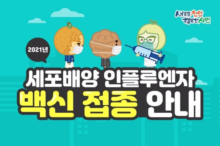 2021년 세포배양 인플루엔자 백신 접종 안내 | 천안시청페이스북