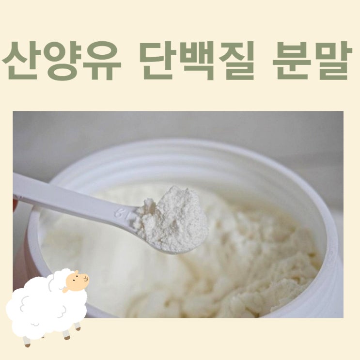  필수아미노산 풍부한 산양유 단백질 분말 효능