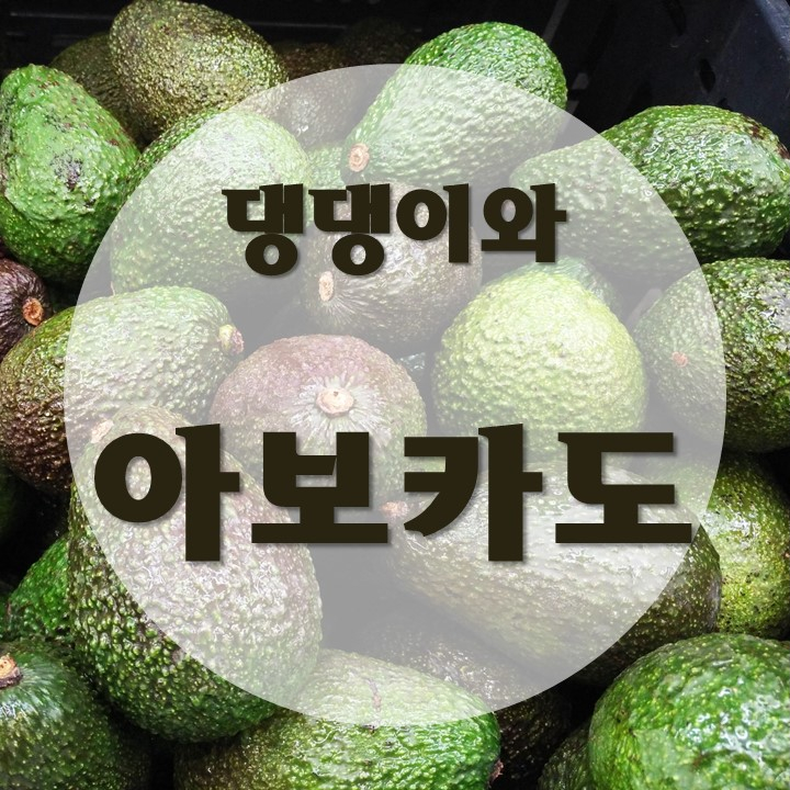  댕댕이와 아보카도편