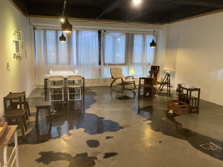  대구 경대북문 애견동반카페 “카페어바웃” :: 댕댕 증명사진까지 !