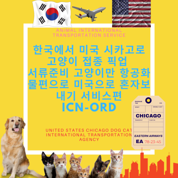  미국 시카고 ORD 고양이 해외운송 카고 고양이출국 고양이검역