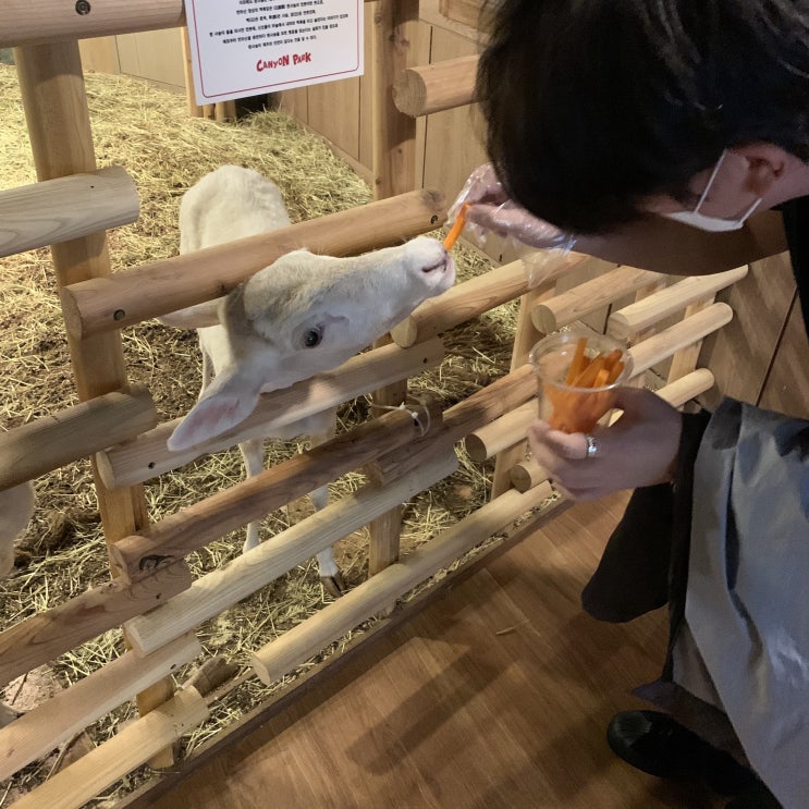  제주도 실내동물원 캐니언파크에 다녀왔다