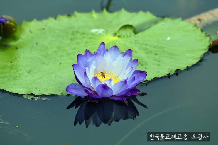  좋은이름 짓기 신생아작명과 개명시 불용문자 불용한자에 대하여 말씀드립니다