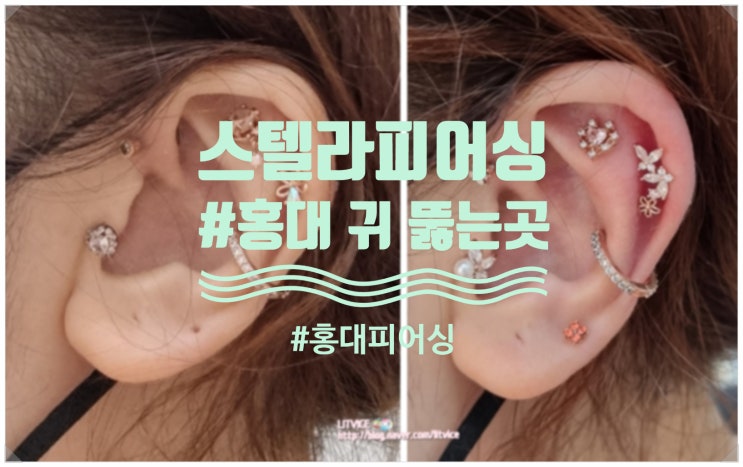  홍대 피어싱 홍대 귀 뚫는 곳은 스텔라피어싱
