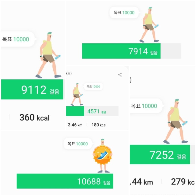 스쿼트(근력운동) 100개 Vs 매일 8000보(만보) 걷기(유산소 운동) : 운동 효과, 소모 칼로리, 부작용, 주의사항 ...