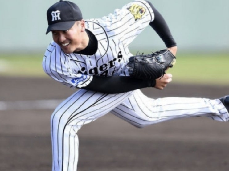  NPB 일본프로야구 17일 한신 히로카프(히로시마)