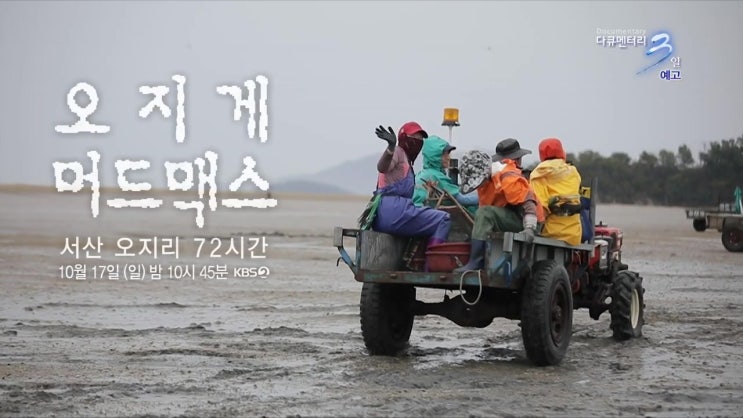 서산 오지리 위치 머드맥스 다큐멘터리 3일 가로림만 서산 오지리 위치 머드맥스 다큐멘터리 3일 가로림만