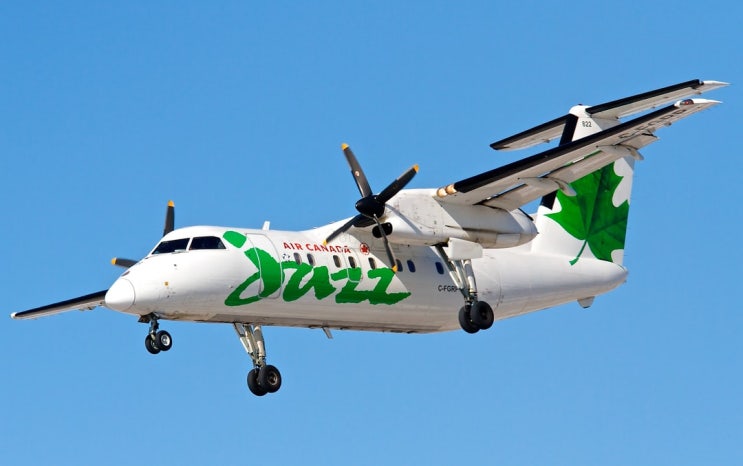  다발한정/멀티엔진 기동 Multi Engine Slow Flight/Stalls/Spin