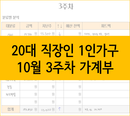  20대 직장인 1인가구 가계부, 10월 3주차 :: 재난지원금 활용하기
