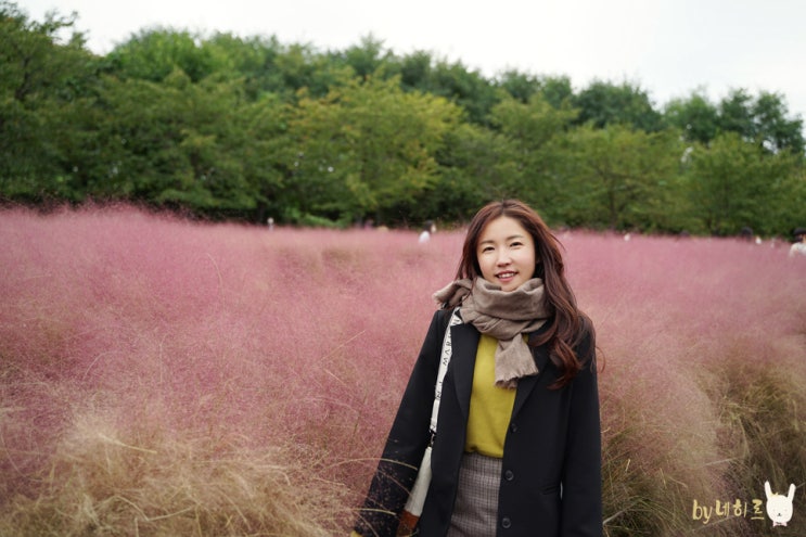  올림픽공원 서울 핑크뮬리 댑싸리 나들이