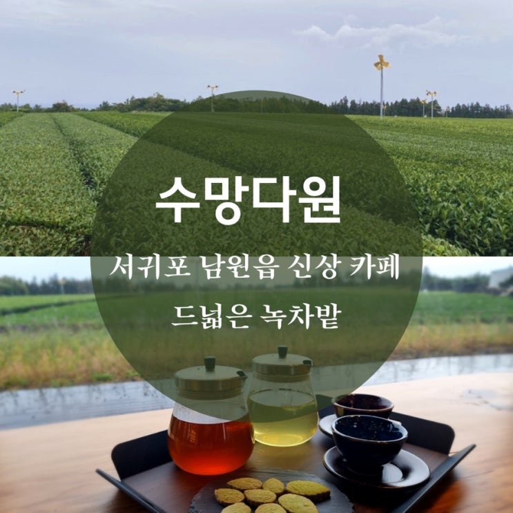 서귀포 가볼만한 곳 제주 남원 카페 수망다원, 드넓은 녹차밭과 티하우스