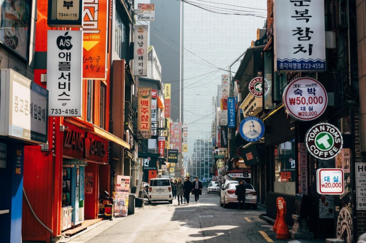 졸트 자막 다운로드