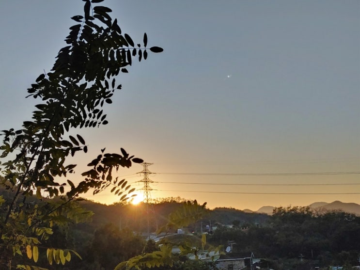 오늘 아리산(다산학교뒤)에서 본 일몰 오늘 아리산(다산학교뒤)에서 본 일몰