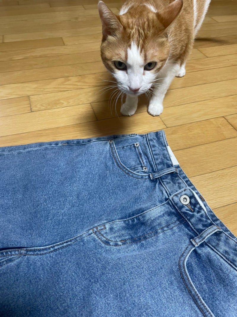 지오다노 와이드핏 청바지 추천