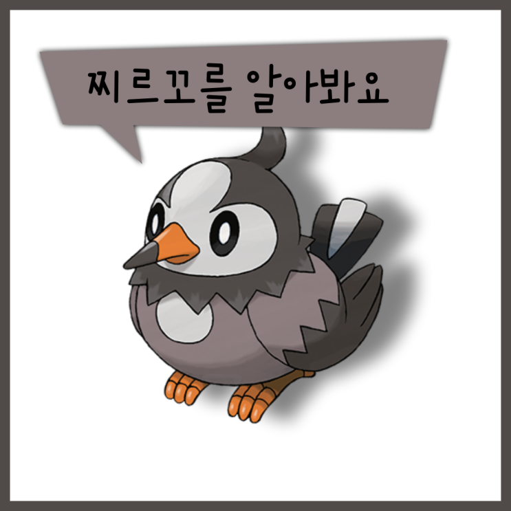  포켓몬스터 찌르꼬 찌르버드 찌르호크를 알아봐요! (이로치, 특성, 타입 상성)