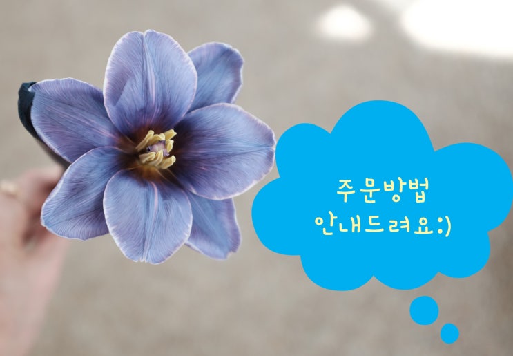  동탄2꽃집 "봄길플라워" 꽃 주문 예약안내