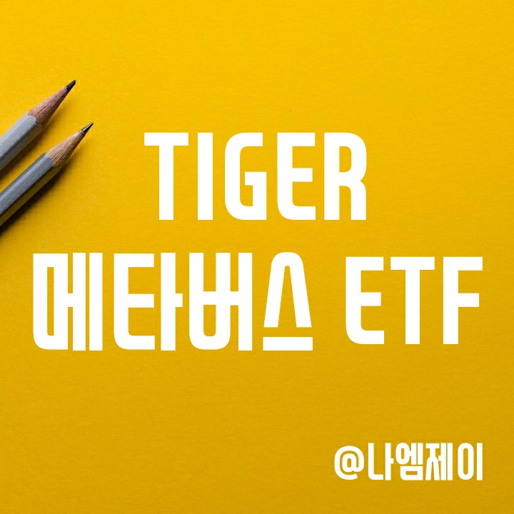 메타버스 관련주에 투자 - TIGER FN메타버스 (타이거 ETF) 메타버스 관련주에 투자 - TIGER FN메타버스 (타이거 ETF)