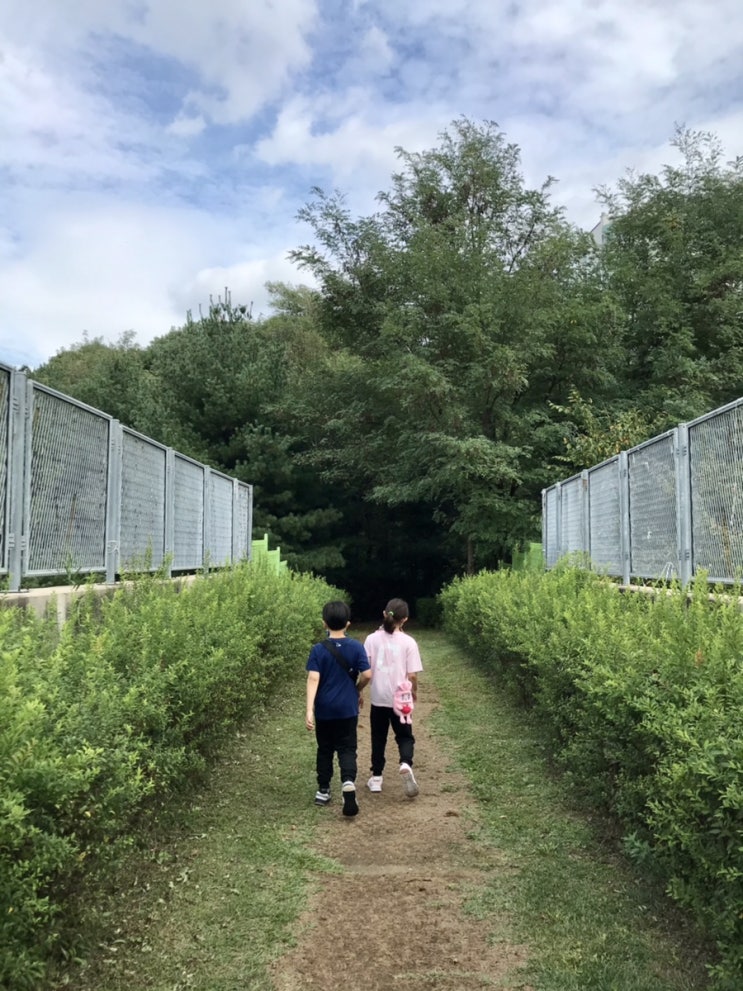 천안 가볼만한곳 아주 오래간만에 둥이들과 함께 한 봉서산 산책