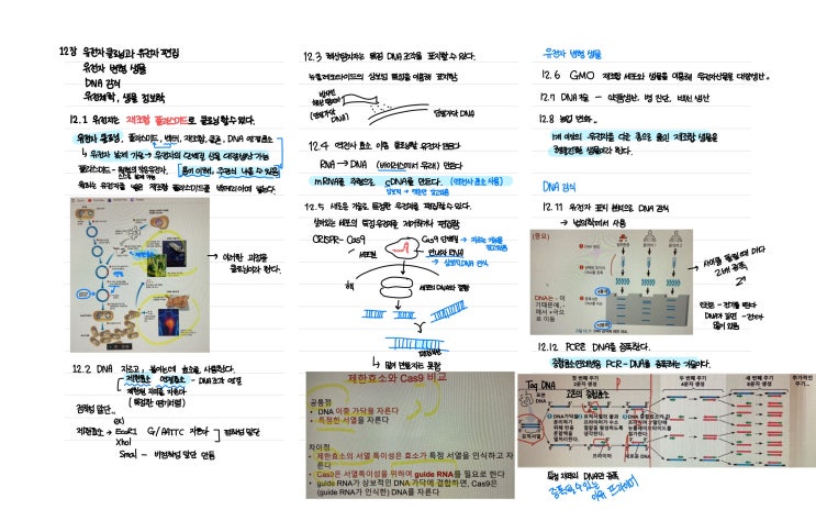  [생물학1] DNA 기술과 유전체학