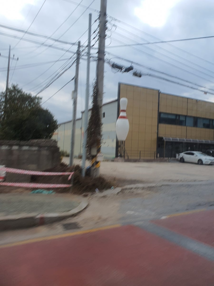 화려한외출 사진 2