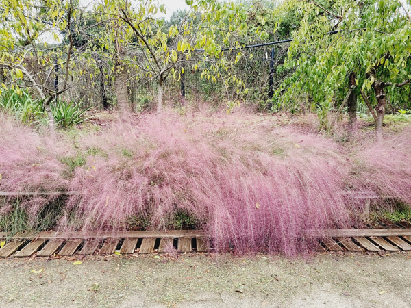  전주 인싸카페 그날의온도