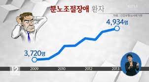  분노조절장애 원인증상특징 자가진단치료법 충동적습관적범죄 간헐적폭발장애 범행동기 간호진단과정