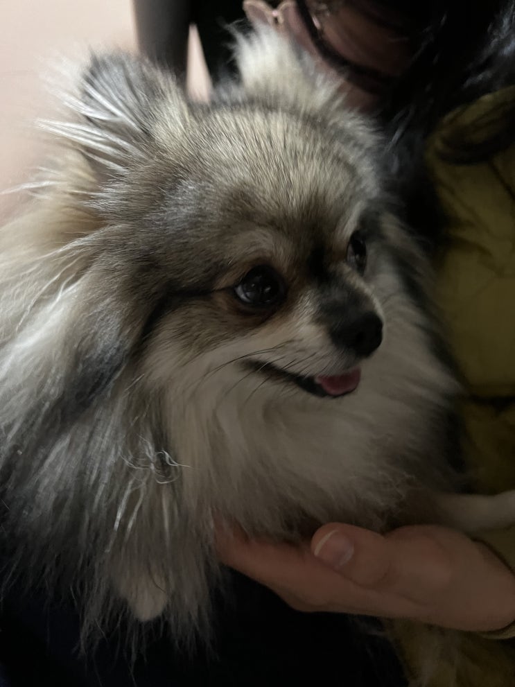  꾸꾸와 엄마와 아빠