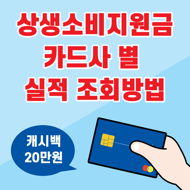  상생소비지원금 카드사 별 실적 조회방법